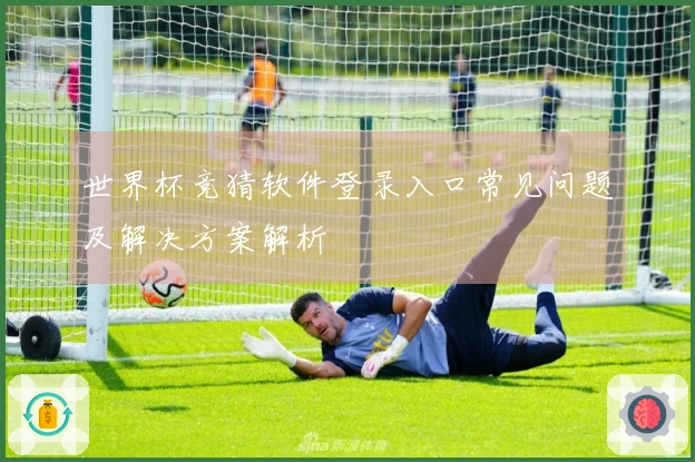 世界杯竞猜软件登录入口常见问题及解决方案解析