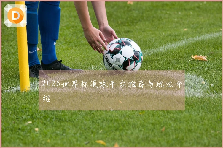 2026世界杯滚球平台推荐与玩法介绍