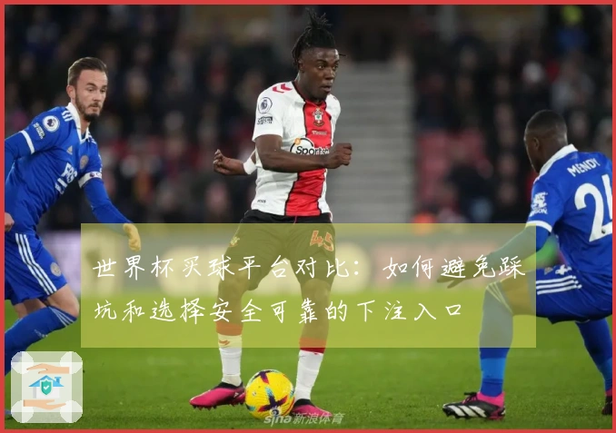 世界杯买球平台对比:如何避免踩坑和选择安全可靠的下注入口