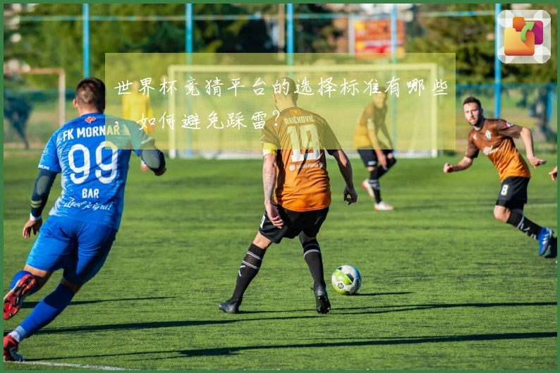 世界杯竞猜平台的选择标准有哪些，如何避免踩雷？