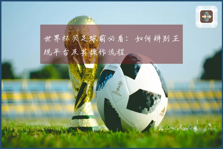 世界杯买足球前必看:如何辨别正规平台及其操作流程