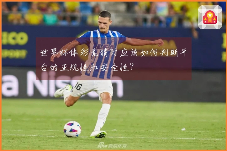 世界杯体彩竞猜时应该如何判断平台的正规性和安全性?