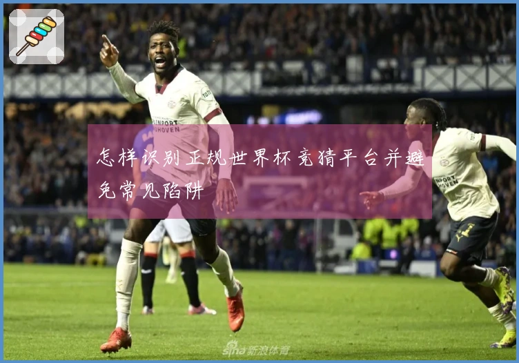 怎样识别正规世界杯竞猜平台并避免常见陷阱