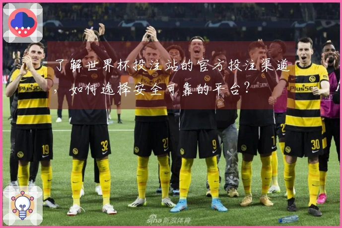 了解世界杯投注站的官方投注渠道，如何选择安全可靠的平台？