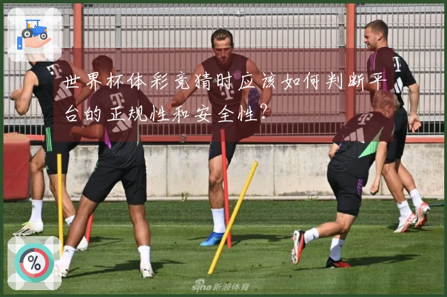 世界杯体彩竞猜时应该如何判断平台的正规性和安全性？