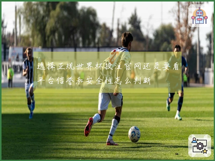 选择正规世界杯投注官网还是要看平台信誉和安全性怎么判断