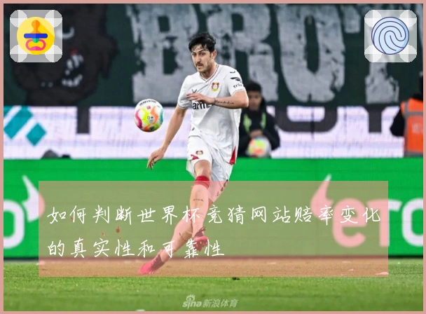 如何判断世界杯竞猜网站赔率变化的真实性和可靠性