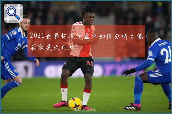 2026世界杯投注盘口如何分析才能获取更大利润？