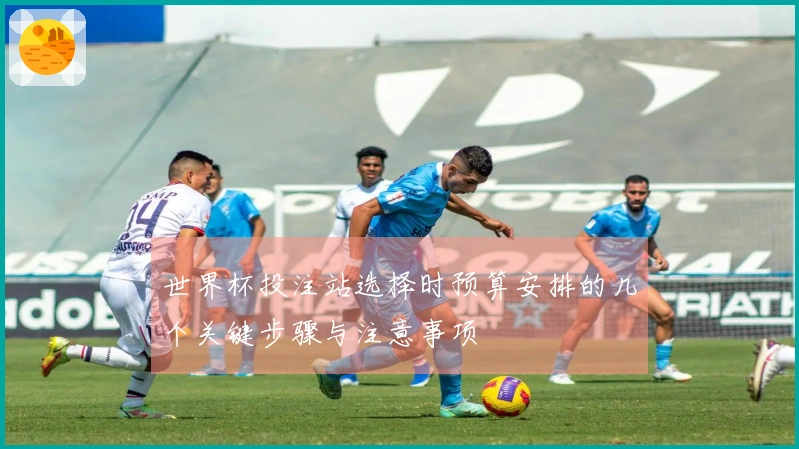 世界杯投注站选择时预算安排的几个关键步骤与注意事项