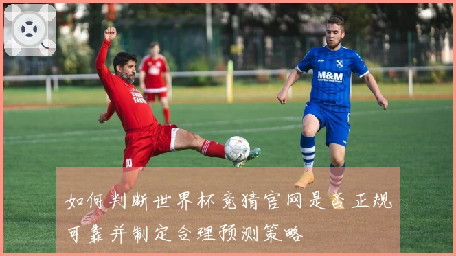 如何判断世界杯竞猜官网是否正规可靠并制定合理预测策略