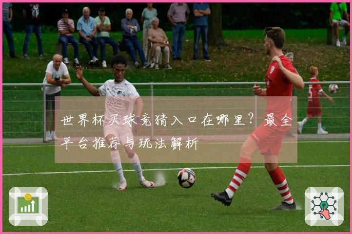 世界杯买球竞猜入口在哪里？最全平台推荐与玩法解析