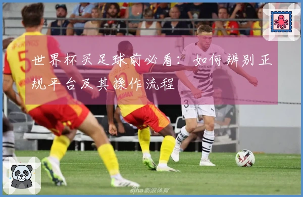 世界杯买足球前必看：如何辨别正规平台及其操作流程