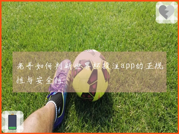 老手如何判断世界杯投注app的正规性与安全性