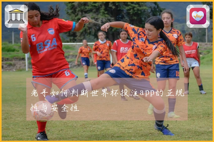 老手如何判断世界杯投注app的正规性与安全性