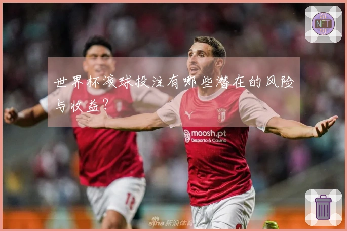 世界杯滚球投注有哪些潜在的风险与收益？
